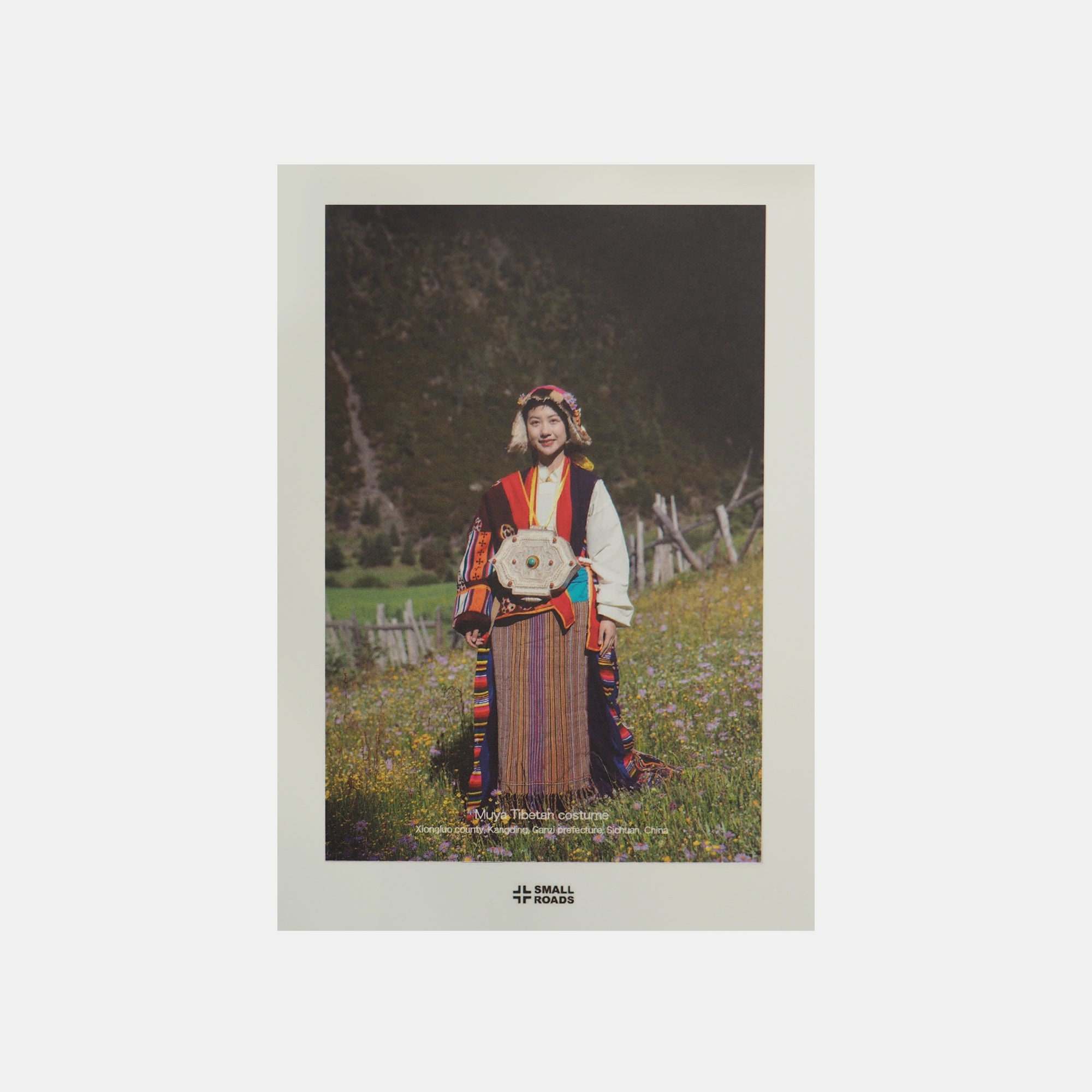 Small Roads Postcard